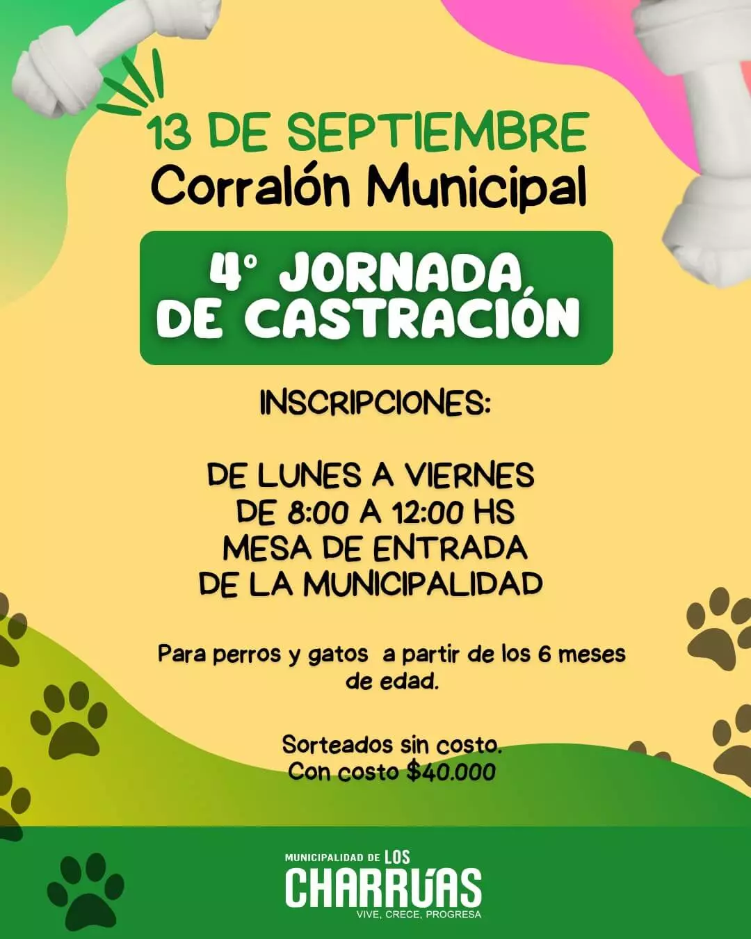 CASTRACIONES